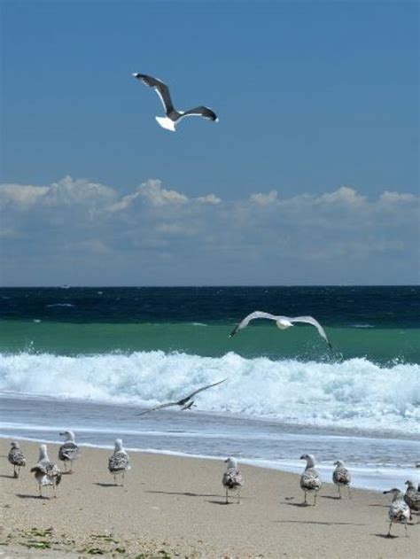 7 Beaches In Qatar To Visit With Family