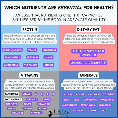 The Most Essential Nutrients For Health — The Bodybuilding Dietitians