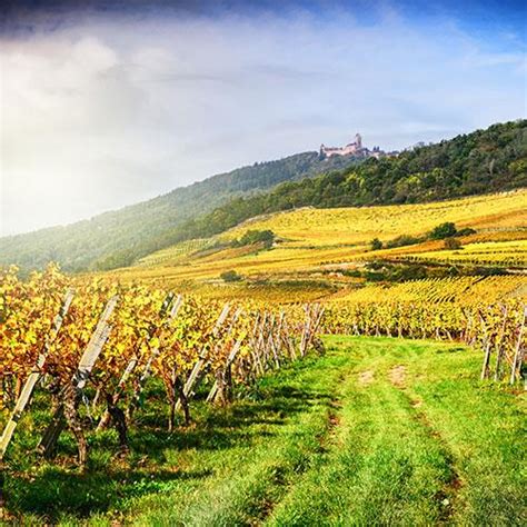 Alsace Lorraine - Alsace Wine Region Vacation Packages | Vacation to ...