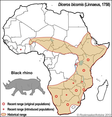 Talk:Black rhinoceros - Wikipedia
