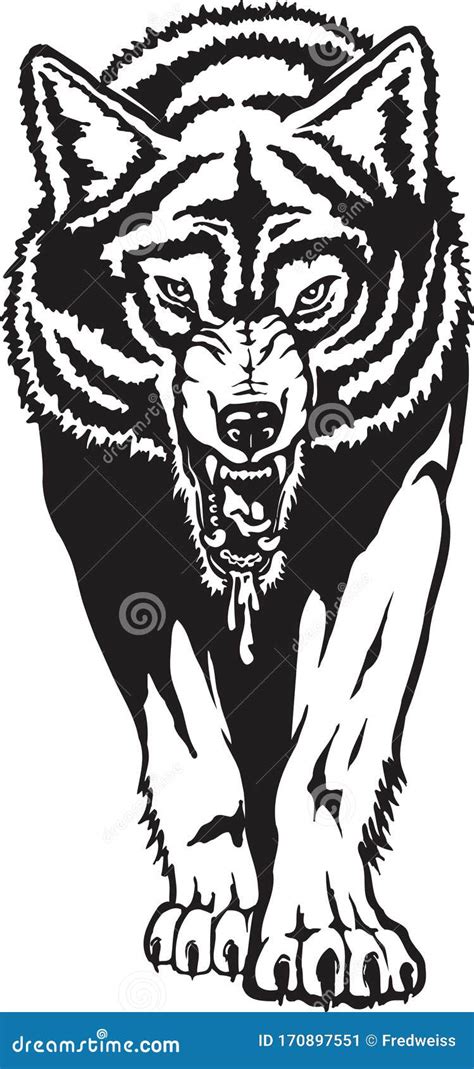 Gray Wolf Vector Illustration Stock Vector - Illustration of animal, canine: 170897551