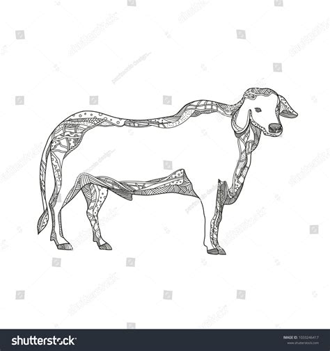 Doodle Art Illustration Brahman Brahma Bull Stock Illustration 1033246417