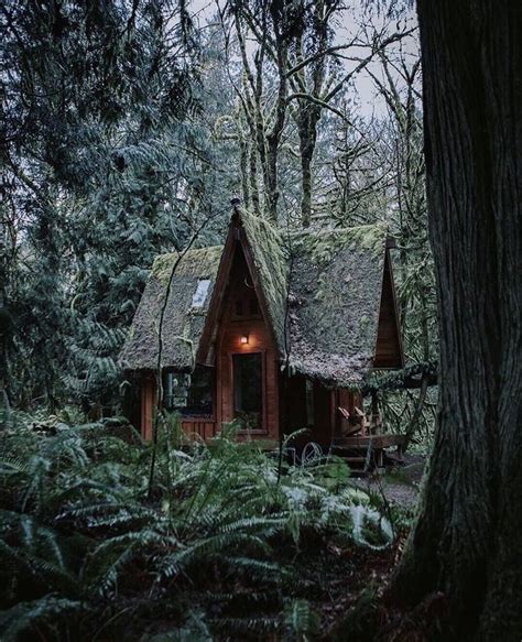 an instagram with a tiny house in the woods on it's phone screen