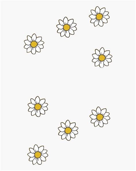 Daisy clipart aesthetic, Daisy aesthetic Transparent FREE for download on WebStockReview 2024