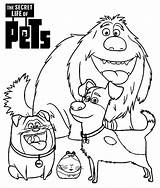 50  The Secret Life Of Pets Coloring Pages Free Printable PDF sketch template