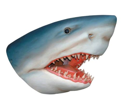 Shark Head – Platinum Prop Rentals