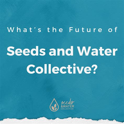 What’s the Future of Seeds and Water? — Seeds and Water Collective