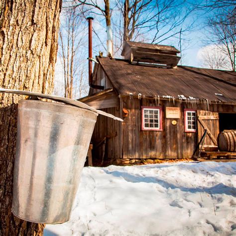 5 cabanes à sucre traditionnelles (avec un petit extra) | Coup de Pouce