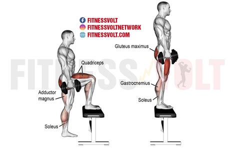 Dumbbell Step-Up: Build Strong Legs and Glutes Effectively – Fitness Volt