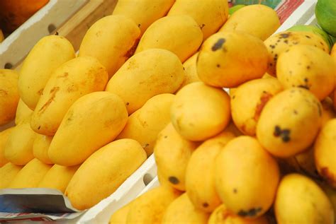 Queen of Mangoes: Sindhri from Pakistan now in UAE | Al-Rasub