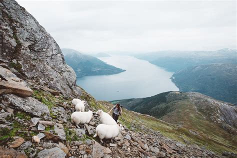 Fjord Norway - Hardangerfjord - All the places you will go