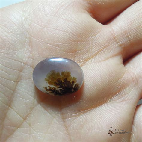 Scenic Dendritic Agate gemstone with natural pattern. - Shop - Far Way Art