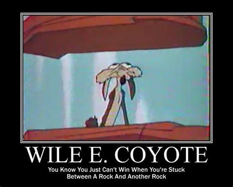 Wiley and two rocks | Old cartoons, Classic cartoon characters, Looney tunes cartoons