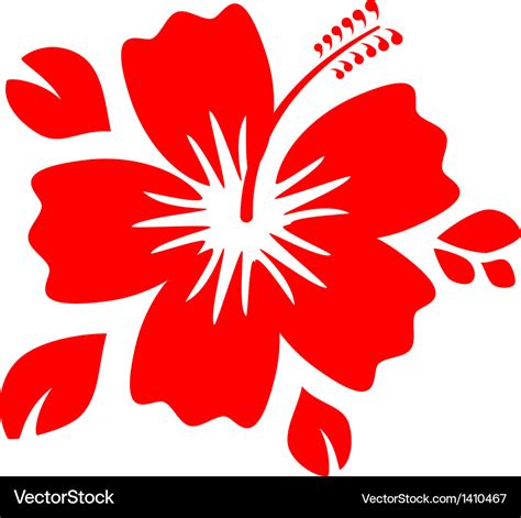 Hibiscus flower Royalty Free Vector Image - VectorStock