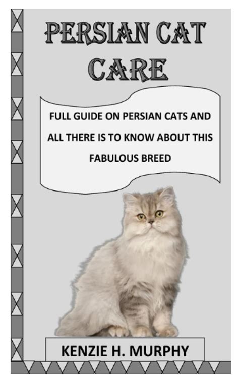 Buy PERSIAN CAT CARE: Full guide on Persian cats and all there is to ...