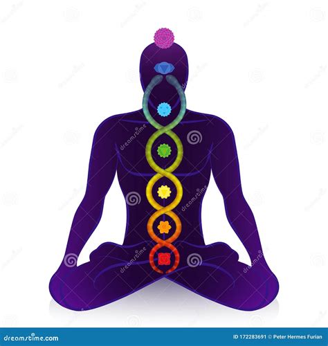 Kundalini Serpent Chakras Awakening Man Power Symbol Stock Vector - Illustration of meditating ...