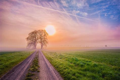 landscape, Nature, Morning, Dawn, Sun, Road, Trees, Field, Fog ...