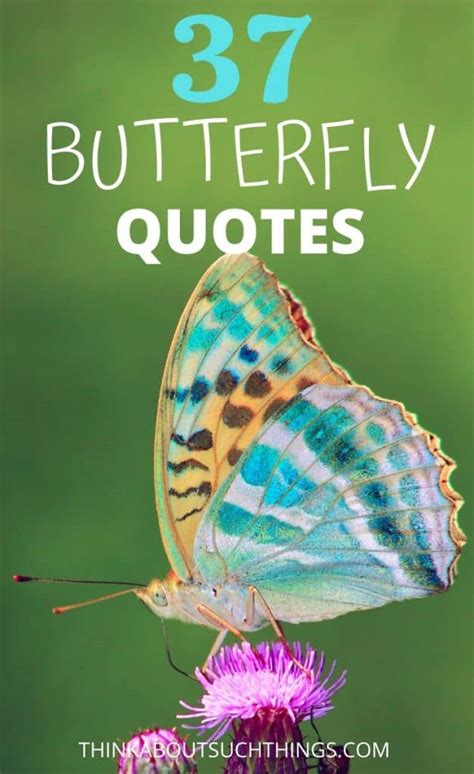 37 Inspirational Butterfly Quotes To Lift Up Your Day | Think About Such Things