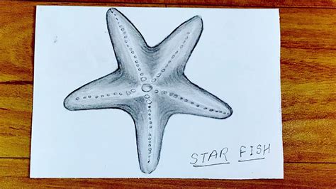 Pencil sketch || How to draw starfish || star fish drawing with pencil ...