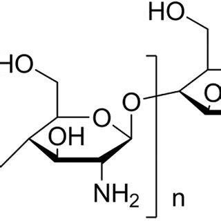 Molecular structure of chitosan. | Download Scientific Diagram