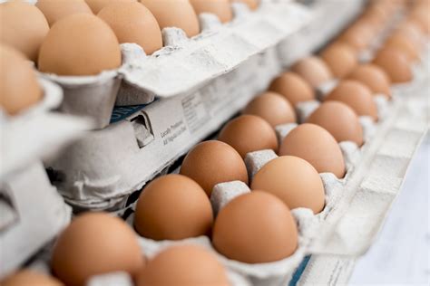 Salmonella Outbreak Tied to Egg Recall Sickens 12 More