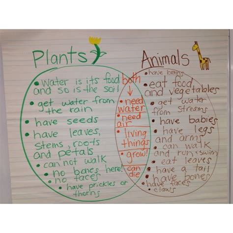 compare and contrast plants and animals for kindergarten - Google ...