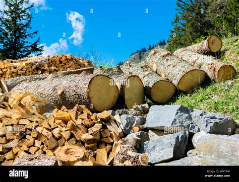 Wood And Mineral Natural Resources Stock Photo - Alamy