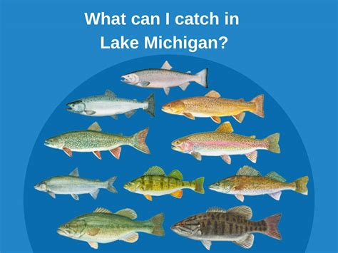 Michigan 2024 Fishing Guide - Donny Genevra