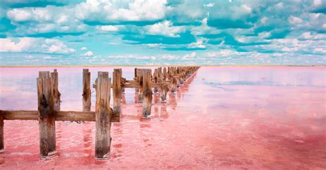 Lake Natron: the Lake that Petrifies All that Swim in It - Historic Mysteries