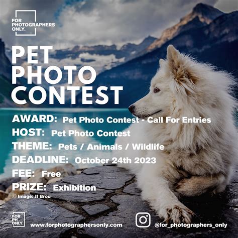 Pet Photo Contest