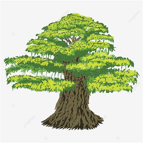 Banyan Tree Illustration, Banyan Tree, Bonsai Tree, Nature PNG and Vector with Transparent ...