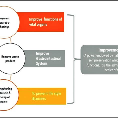 Benefits of moderate exercise | Download Scientific Diagram