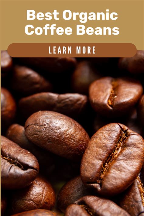 7 best organic coffee beans buying guide reviews – Artofit