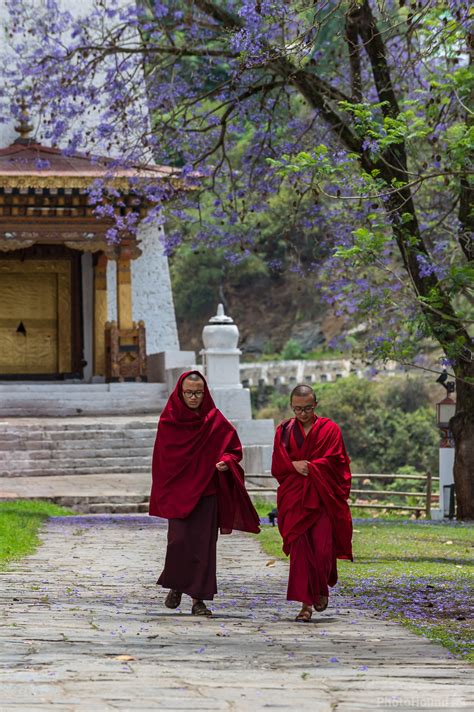 Punakha Dzong photo spot, Punakha