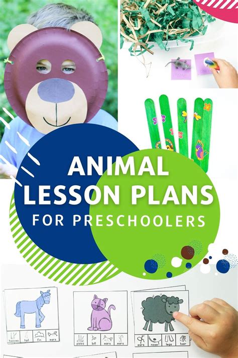 25 Fun Animal Theme Preschool Lesson Plans