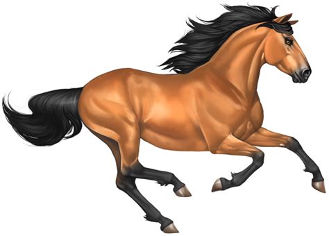 Mustang Horse Image Transparent HQ PNG Download | FreePNGImg
