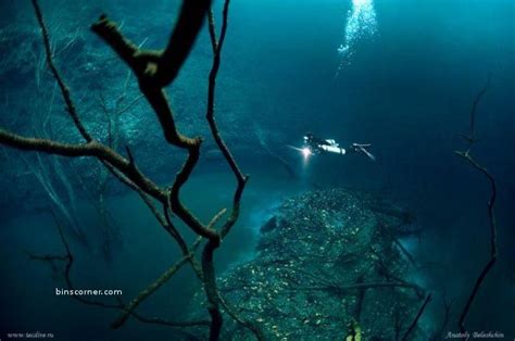 Amazing Underwater River Cenote Angelita in Mexico - Gallery | eBaum's World