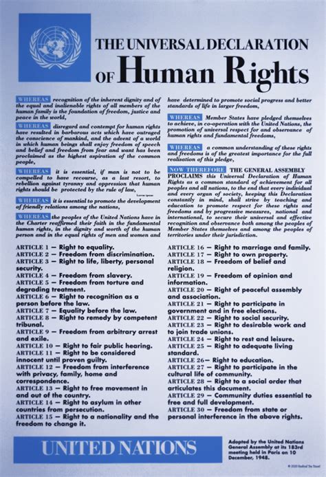 Universal Declaration of Human Rights poster | Radical Tea Towel