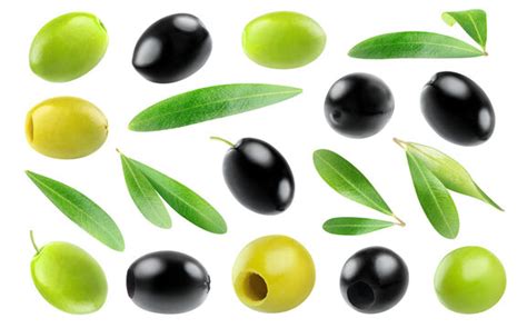 "Olive Leaves" Images – Browse 8,549 Stock Photos, Vectors, and Video ...