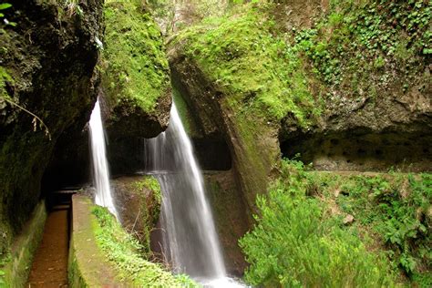 The Levadas @ Madeira | Funchal, Reiseziele, Reisen