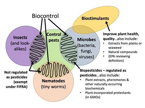 Biocontrols, biopesticides, biostimulants, oh my! | Biocontrol Bytes