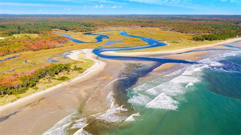 Scientists Say: Estuary | Science News for Students