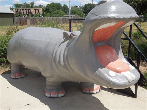 Hutto Hippo From Hutto, TX | 2768. The hippo is the mascot f… | Flickr