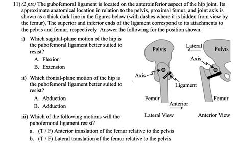 Solved 11) (2 pts) The pubofemoral ligament is located on | Chegg.com