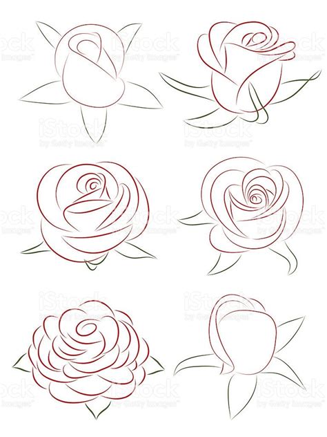 Rose Flower Drawing Images at PaintingValley.com | Explore collection ...