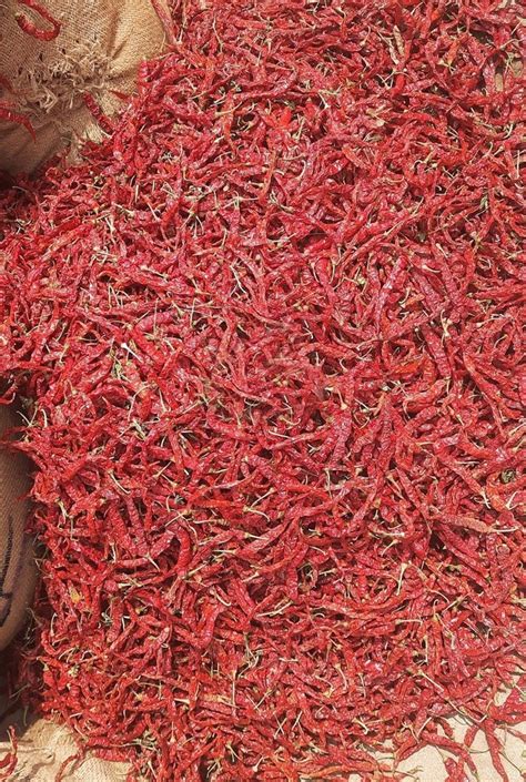 355 Byadgi Dry Red Chilli at Rs 320/kg | Dry Red Chili in Guntur | ID: 2850528444133