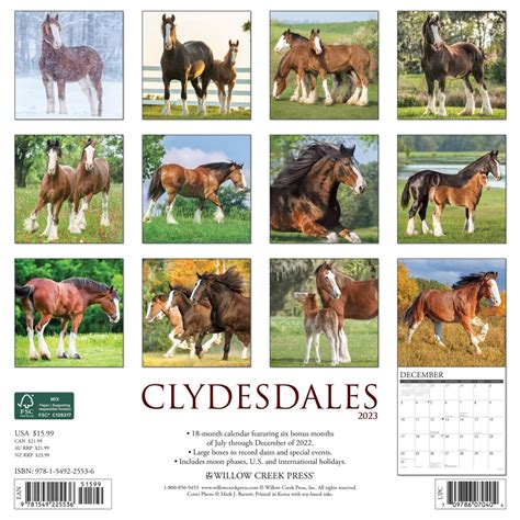 Budweiser Clydesdale Calendar 2024 - Hattie Christalle