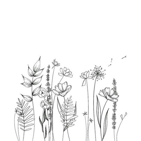 https://www.instagram.com/p/BgG-m-Njl_b/ | Flower line drawings, Wildflower drawing, Easy flower ...