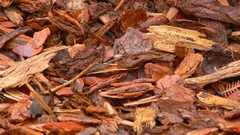 Here Is Everything About Using Pine Bark Mulch In Vegetable Garden – Slick Garden