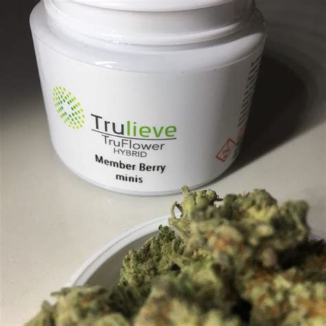 Strain Review: Member Berry (minis) from Trulieve - The Highest Critic